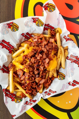 Bacon Cheese Fries